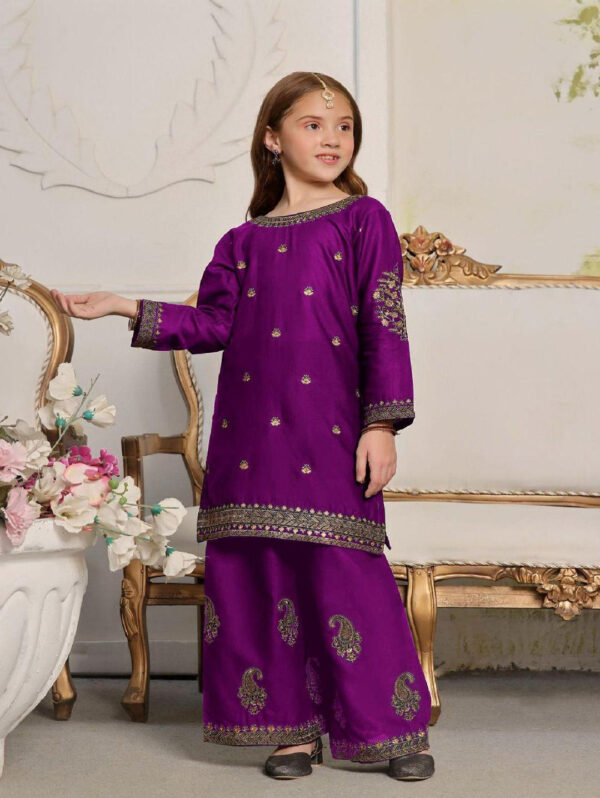 2 Pcs Girl's Silk Embroidered Kurta and Trouser